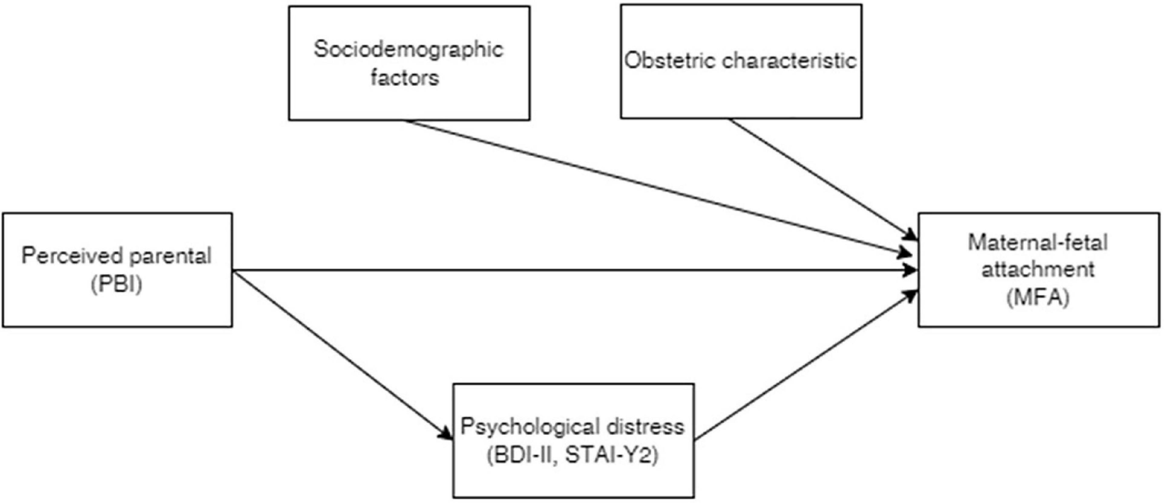 Frontiers The relationship between maternal fetus attachment and